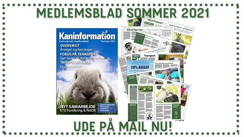 Medlemsbladet for sommeren 2021 er udkommet