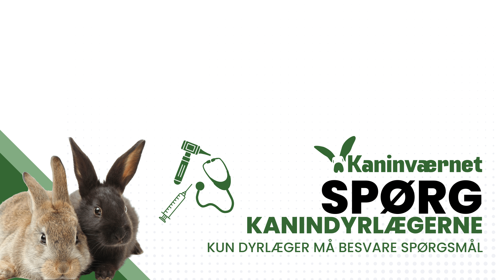 NY FACEBOOKGRUPPE “SPØRG KANINDYRLÆGERNE” LANCERES I DAG