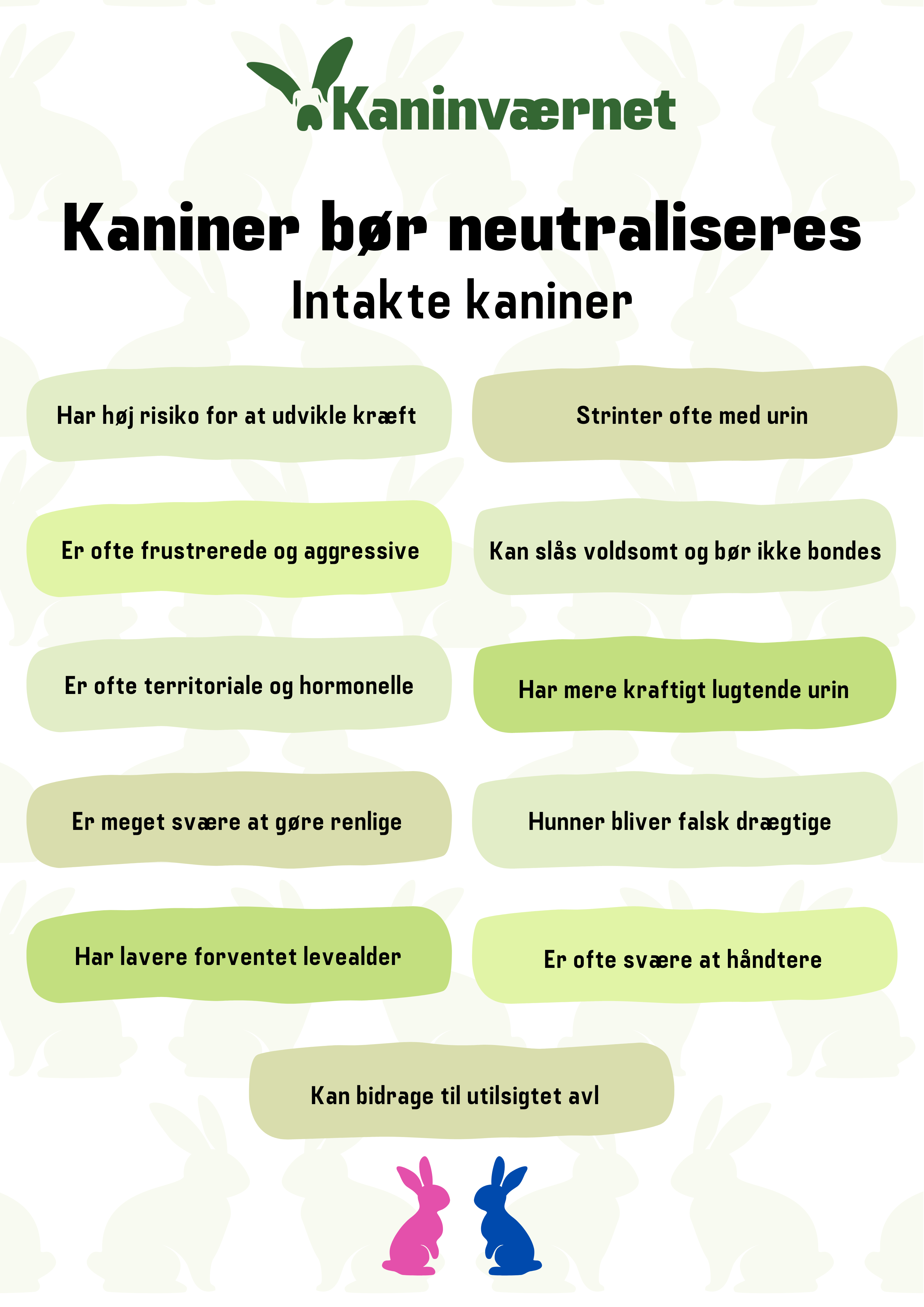 HVORFOR BØR DU NEUTRALISERE DIN KANIN?