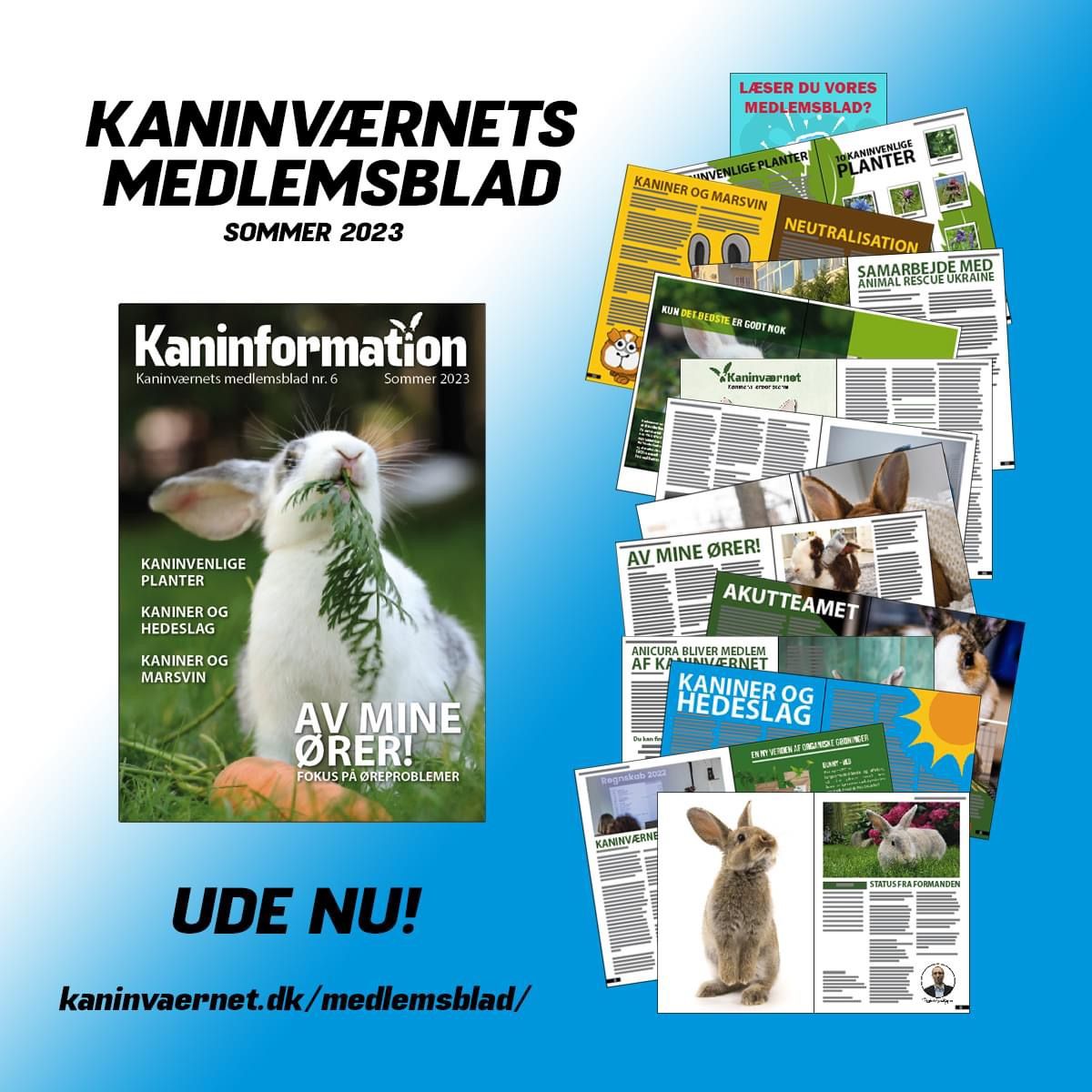 KANINVÆRNETS NYE MEDLEMSBLAD UDE NU!