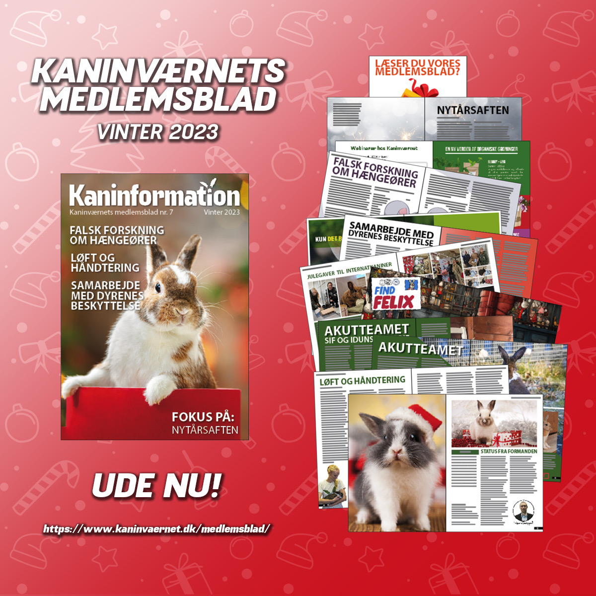 KANINVÆRNETS NYE MEDLEMSBLAD UDE NU