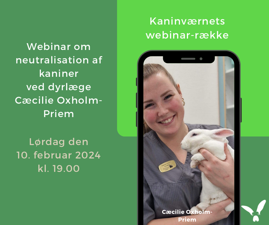 WEBINAR OM NEUTRALISATION AF KANINER VED DYRLÆGE CÆCILIE OXHOLM-PRIEM