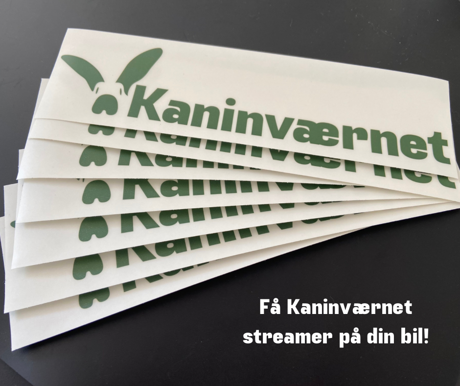 FÅ KANINVÆRNET STREAMER PÅ DIN BIL