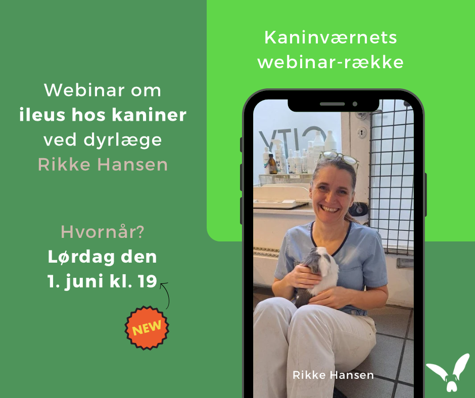 WEBINAR OM ILEUS HOS KANINER VED DYRLÆGE RIKKE HANSEN