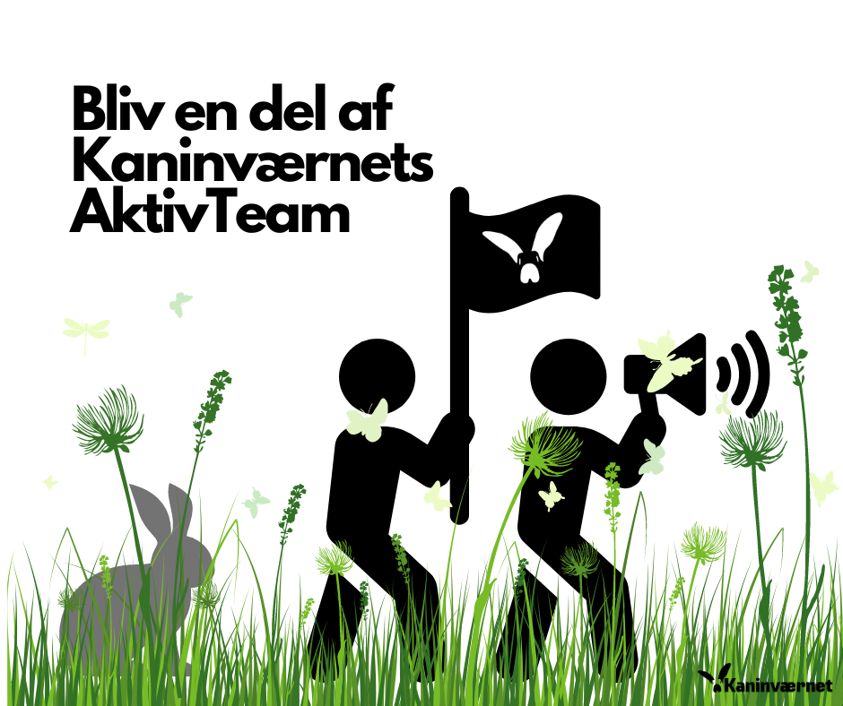 BLIV EN DEL AF KANINVÆRNETS AKTIVTEAM OG HJÆLP VORES NYOPSTARTEDE INSTITUTIONSTEAM